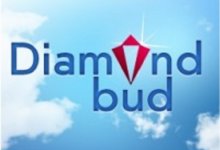    (Diamond Bud)